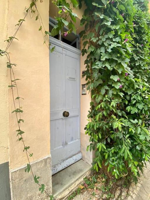 Click! Casa Lamartine Fabulous Ideal Location Walk To All!!! كاسيس المظهر الخارجي الصورة